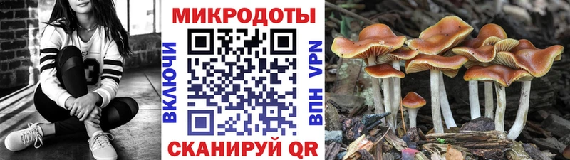 ссылка на мегу онион  Онега  Псилоцибиновые грибы ЛСД 